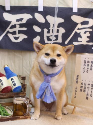 20240611はなちゃん